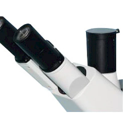 Head of BLD-300