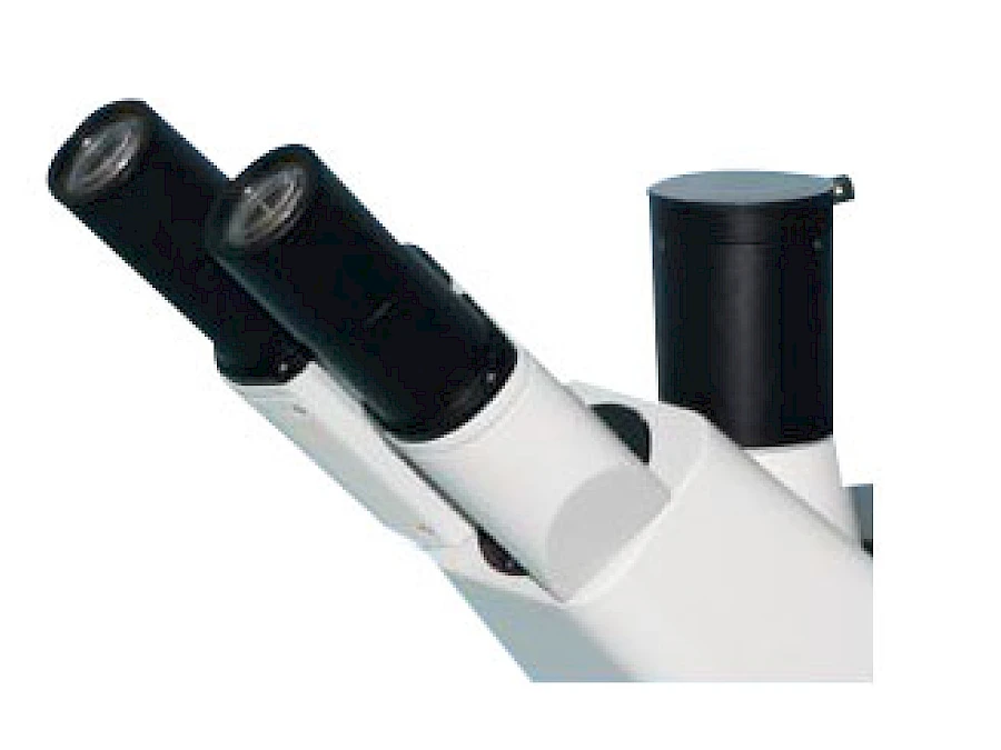 Head of BLD-300