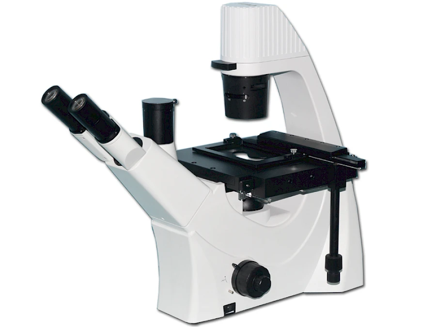 BLD-300