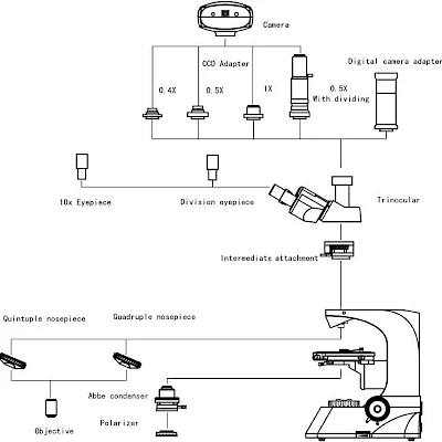 Diagram of POL1800
