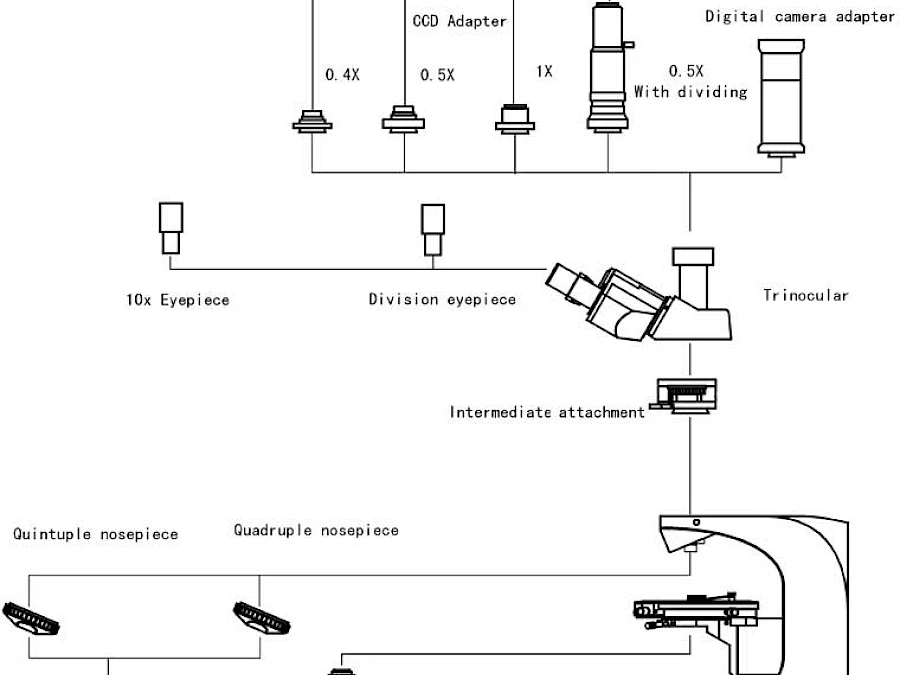 Diagram of POL1800