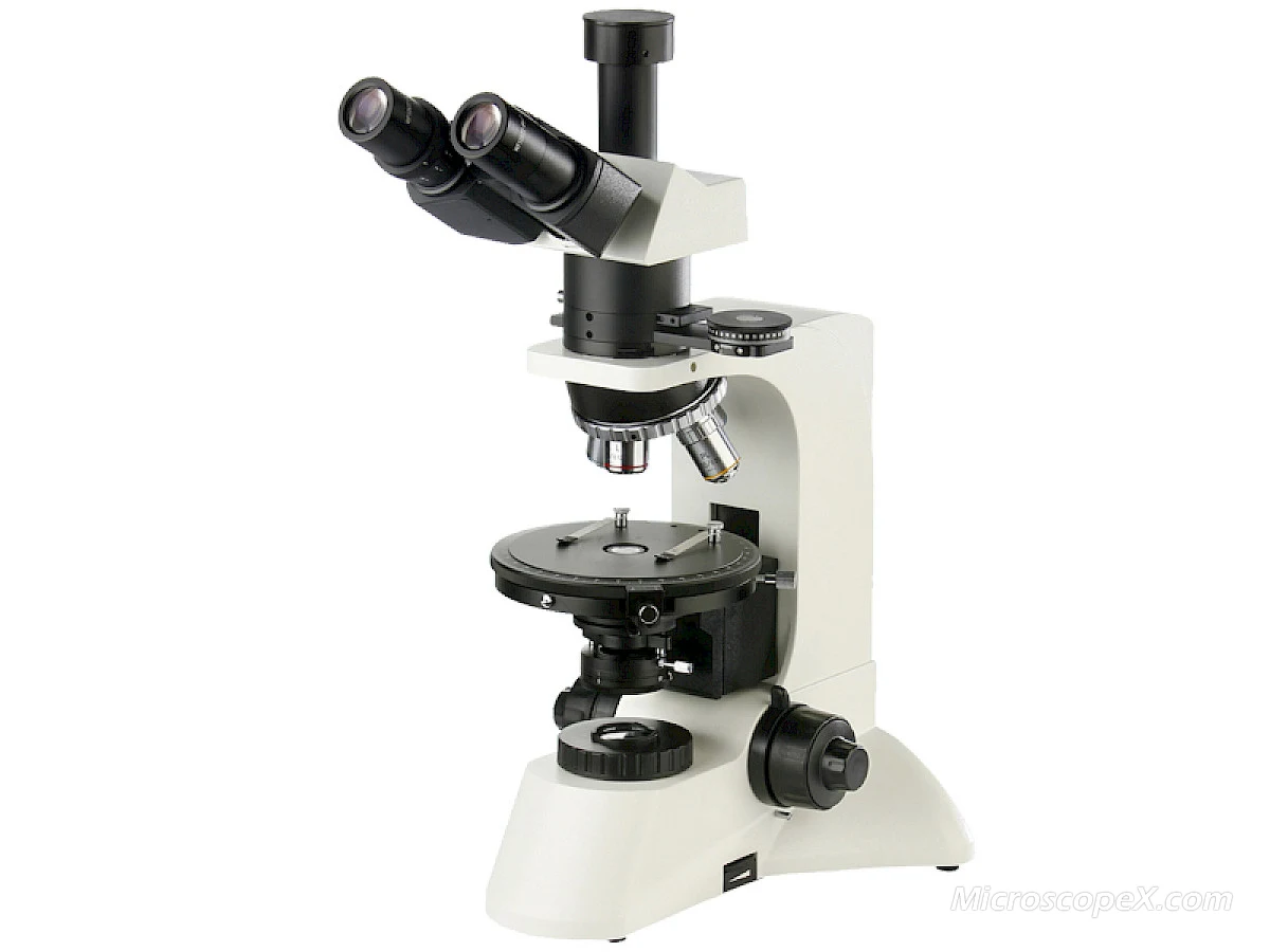 POL1800