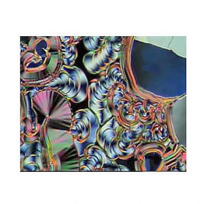 Polarized Observe