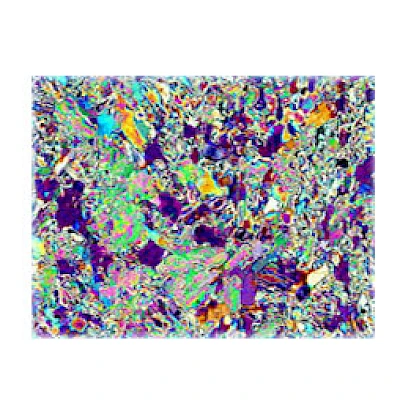 Polarized Observe