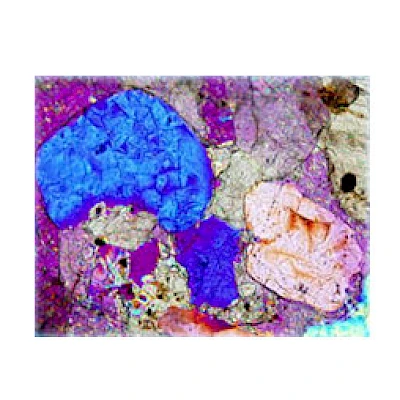 Polarized Observe