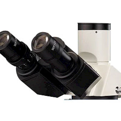 Head of POL1500