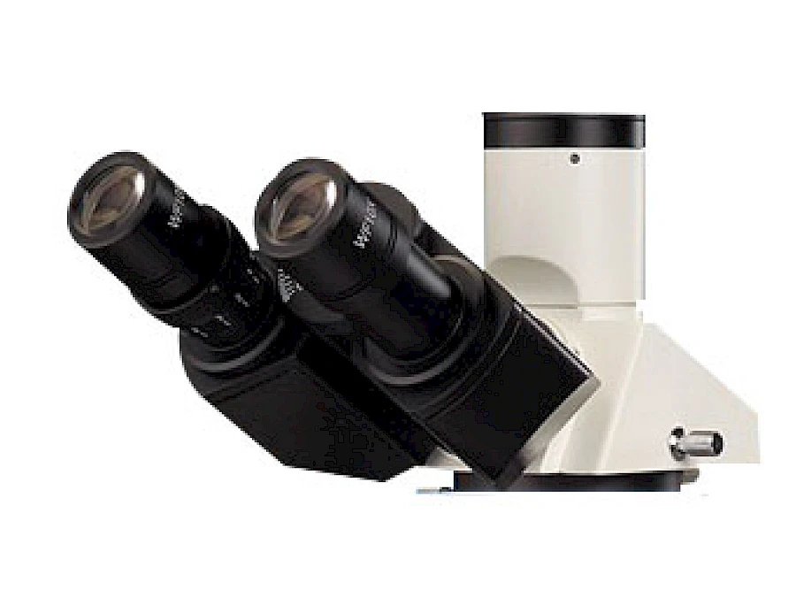 Head of POL1500