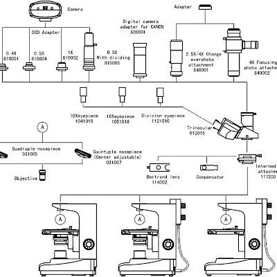 Diagram of POL1500