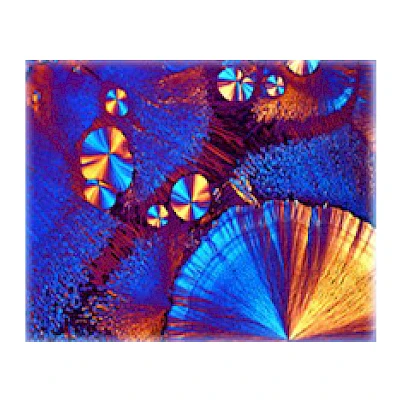 Polarized Observe