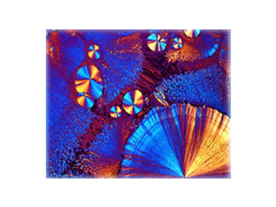 Polarized Observe