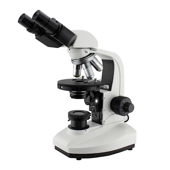 POL1100