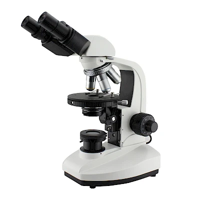 POL1100