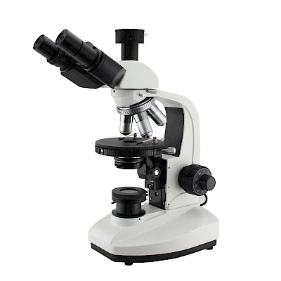 POL1100A
