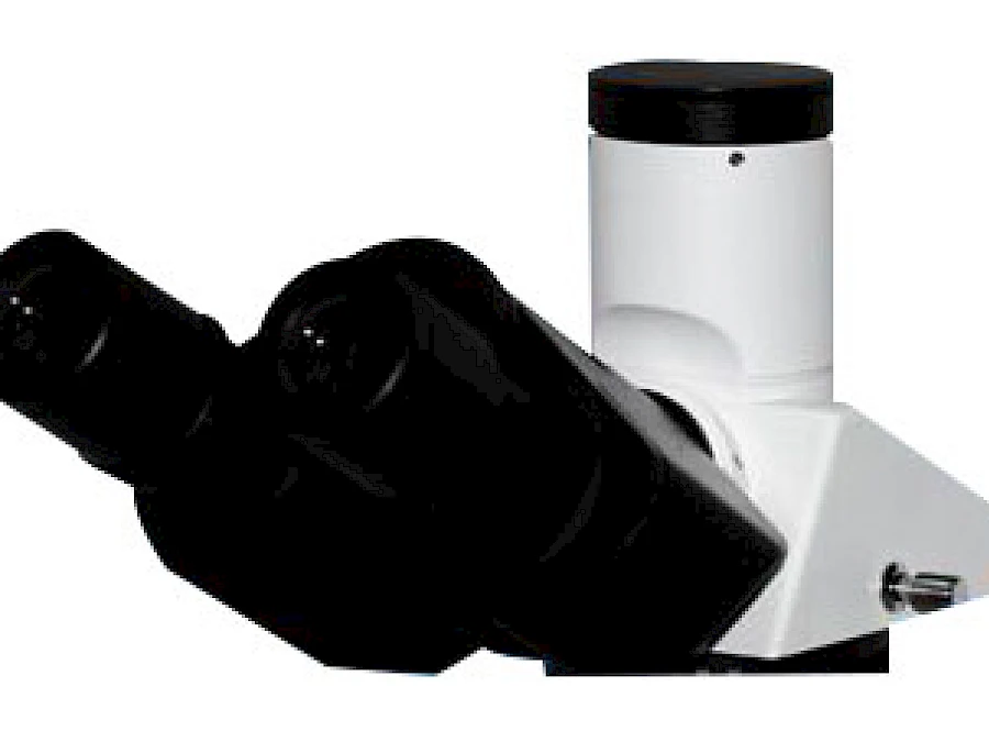 Head of POL2600