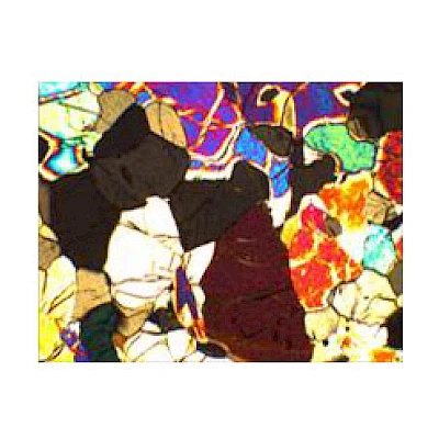 Perpendicular Polarized Light