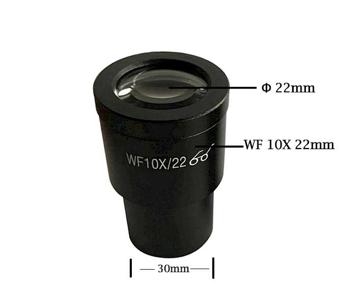 WF10X22mm