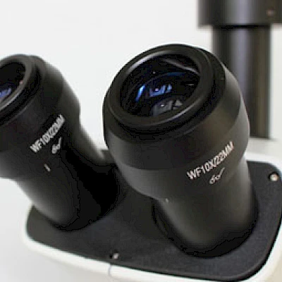 Head of VMF7063