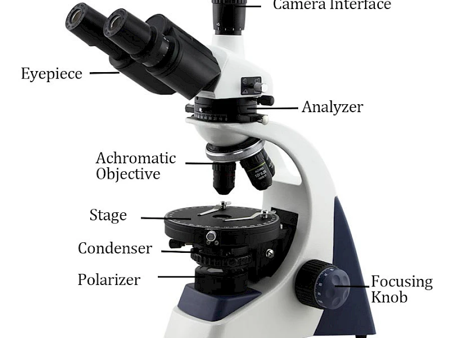 PLJ-137A 40X~1600X Easy Operation Powder Crystal Trinocular Standard Polarizing Microscope with LED Light Source gallery image 2