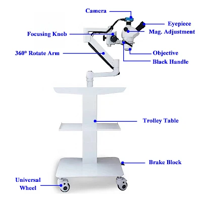 Structure of VMS103CD Dental Microscope