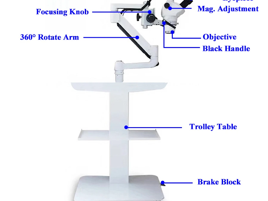 Structure of VMS103CD Dental Microscope