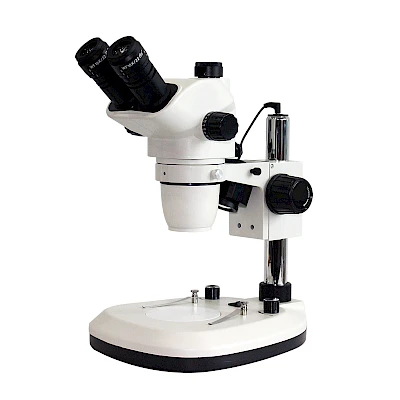 TZW6555 Stereo Microscope