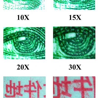 Real Images Captured by TZW6555 Stereo Microscope