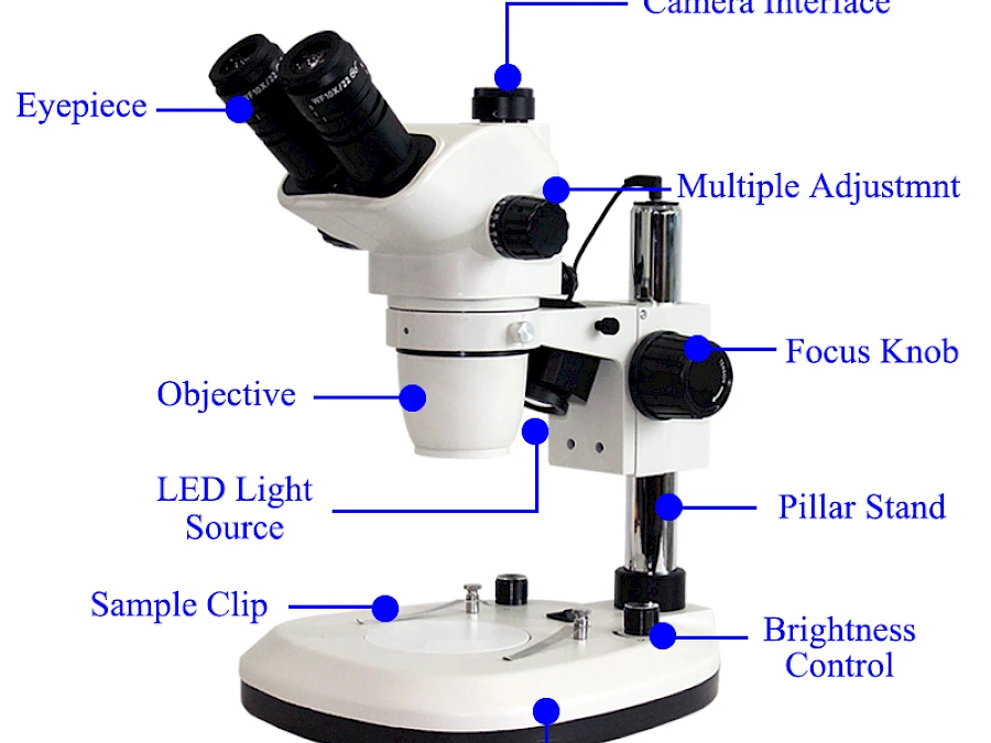 Structure of TZW6555 Stereo Microscope
