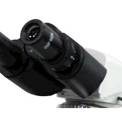 Head of BL-123