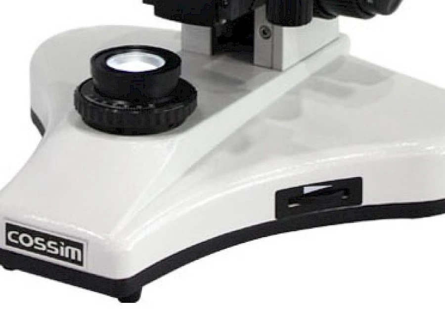 Illumination System of BL-123