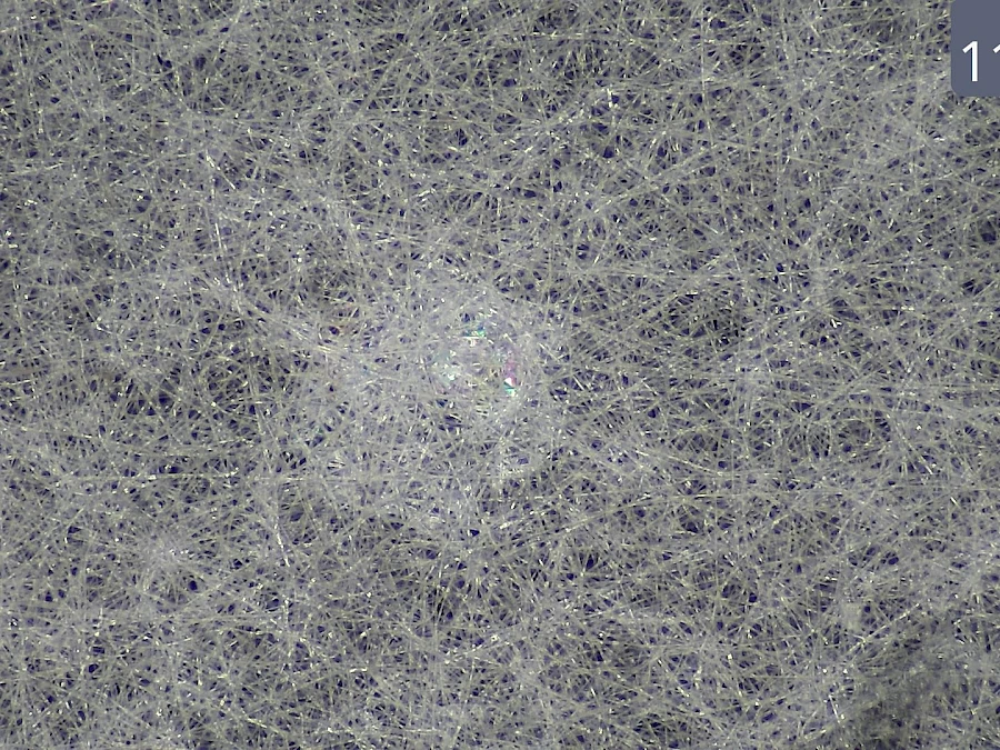 Sample Captured by HVS-15AF Video Stereo Microscope