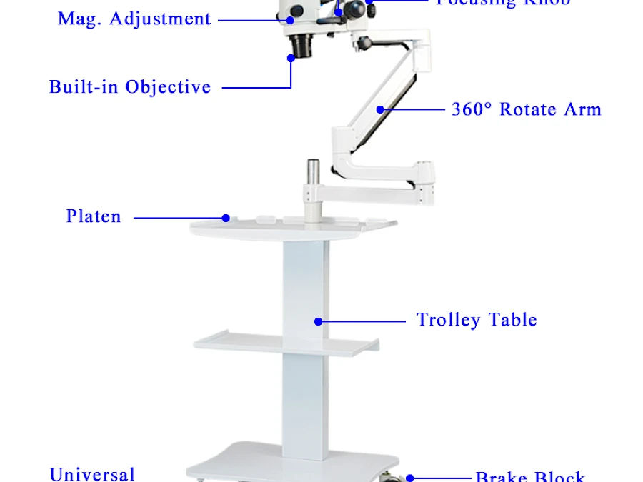 Structure of VMS105CD Dental Microscope