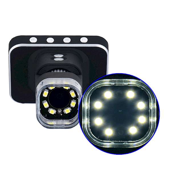 Light Source of DM1