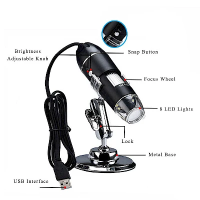 Structure of D4D Digital Microscope