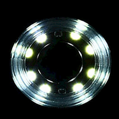 LED Light Source of D4D