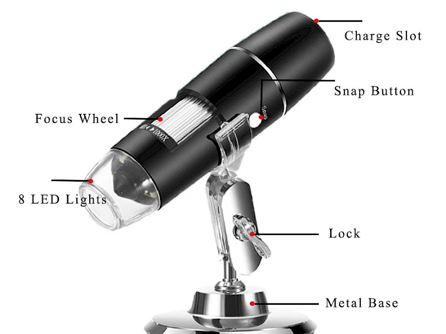 Structure of W04 Digital Microscope