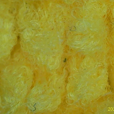 Real Image Captured by MS2 Digital Microscope