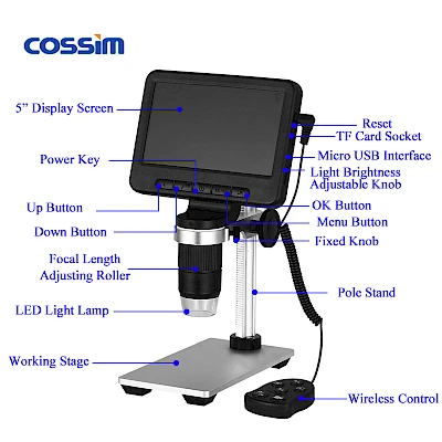 Structure of MS2 Digital Microscope