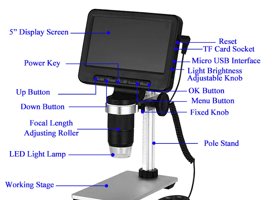 Structure of MS2 Digital Microscope