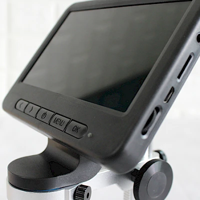 Multi-interfaces of MS2