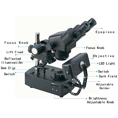 Structure of VGM400 Binocular Gem Microscope