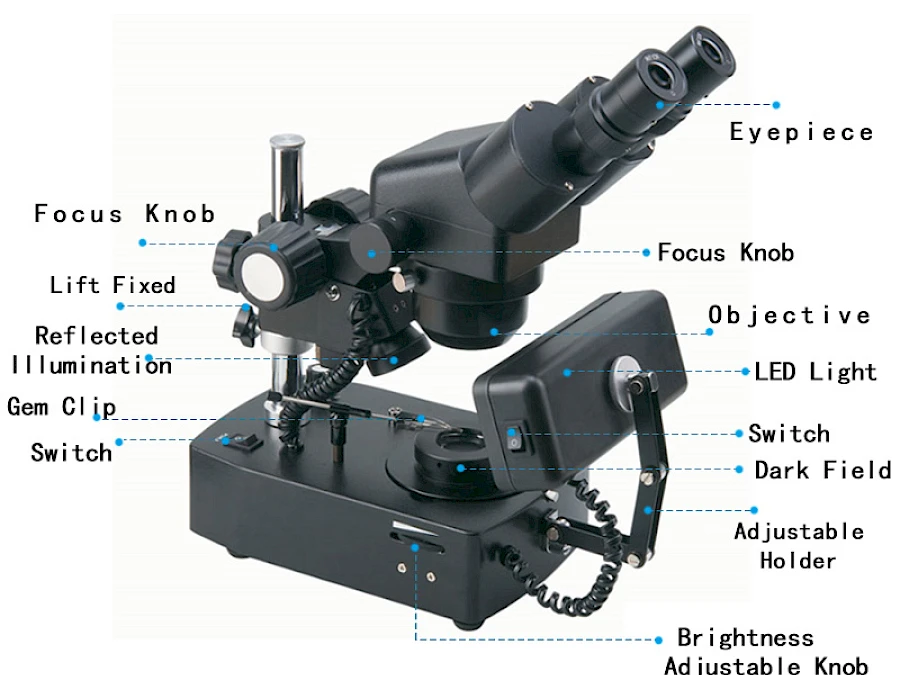 Structure of VGM400 Binocular Gem Microscope