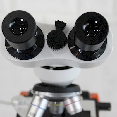 Head of BL-10A