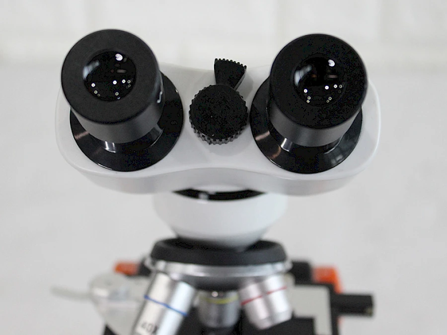 Head of BL-10A