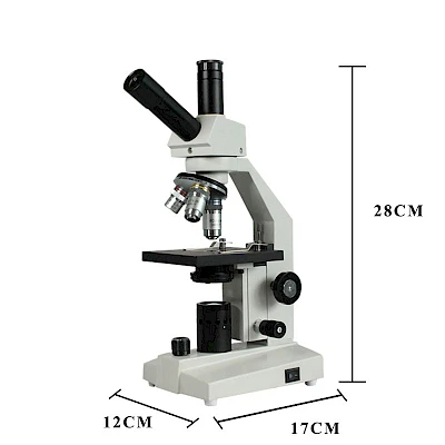 Size of BL-30D Biological Microscope