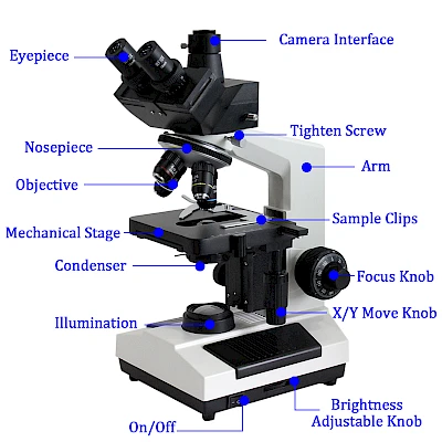 Structure of BL-107 Binocular Biological Microscope