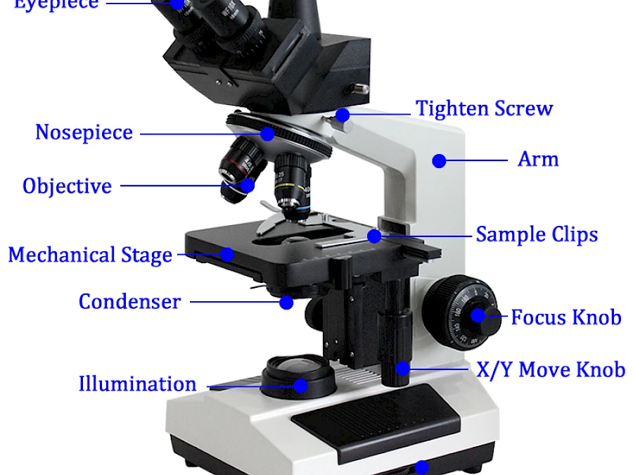 Structure of BL-107 Binocular Biological Microscope