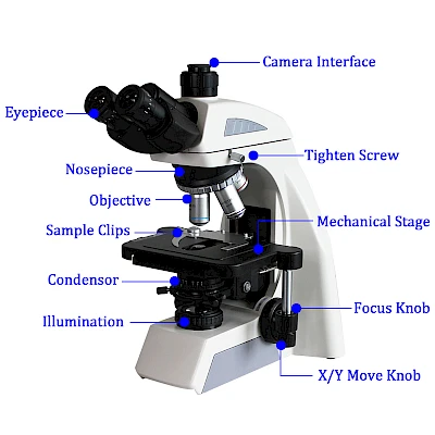 Structure of BL-610T Trinocular Biological Microscope