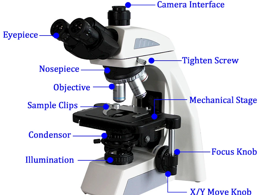 Structure of BL-610T Trinocular Biological Microscope