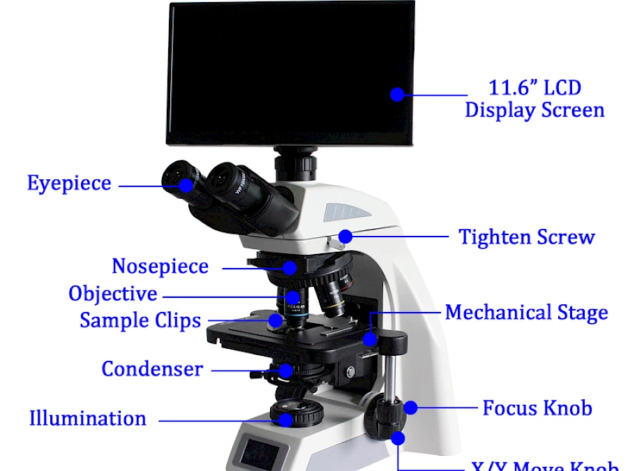Structure of BL-610T Trinocular Biological Microscope with the Display