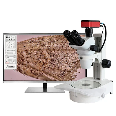 TW650A with its connected 4K Microscope Camera